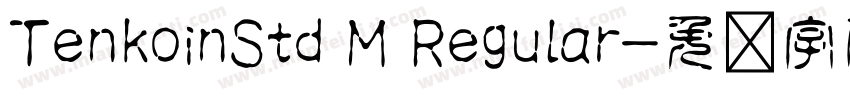 TenkoinStd M Regular字体转换